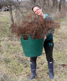 A big bucket of weeds to dry A big bucket of weeds to dry