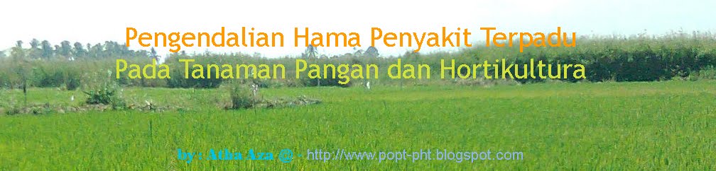 Pengendalian Hama Penyakit Tanaman Terpadu