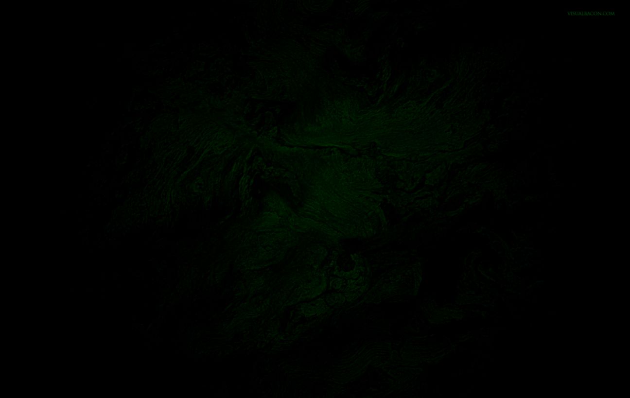 Dark Green Wallpaper WallpaperSafari Dark Green Wallpaper WallpaperSafari