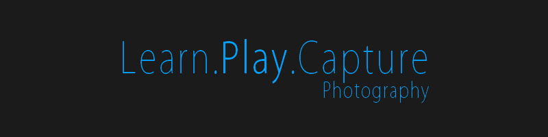 Learn Play Capture