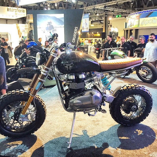 triumph tfc2 scrambler