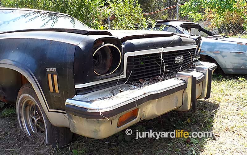 Junkyard Life Classic Cars, Muscle Cars, Barn finds, Hot rods and part