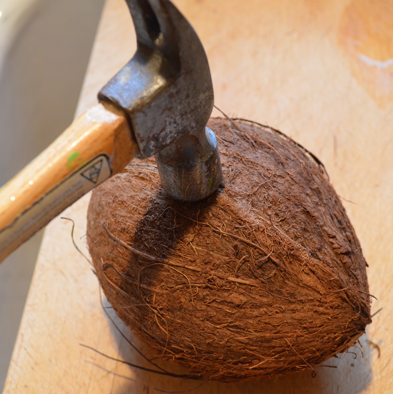 Easy Way To Cut Coconut at Deborah Vargas blog