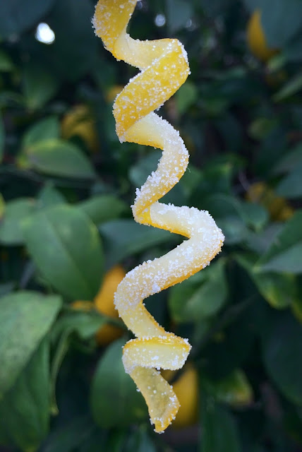Candied lemon twists - perfect garnish for tea, cocktails or sparkling water and makes a great gift! | www.jacolynmurphy.com