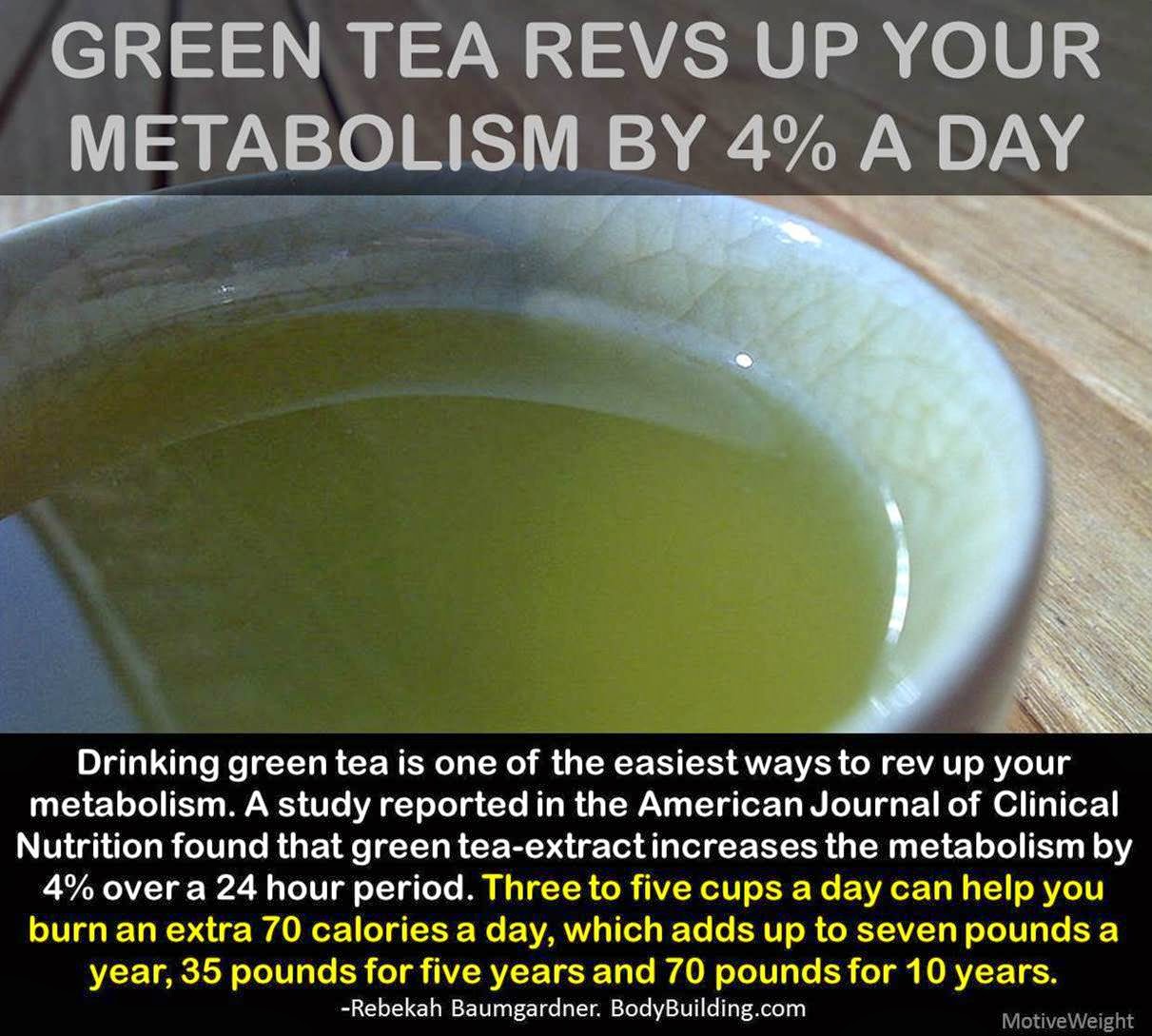MotiveWeight Drink Green Tea It Increases Your Metabolism