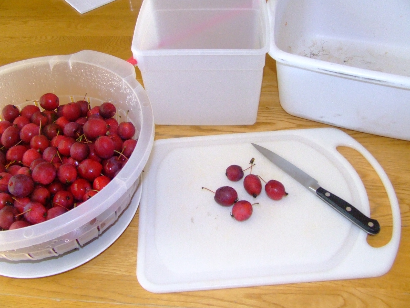 The Full Circle Gardener Preserving Backyard Fruit Crab Apple Juice