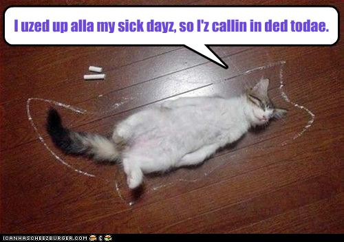 sick lolcat