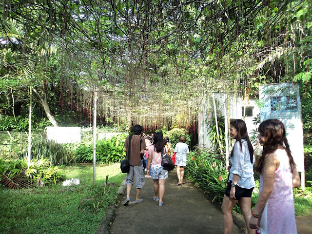 Palawan Wildlife Rescue and Conservation Center