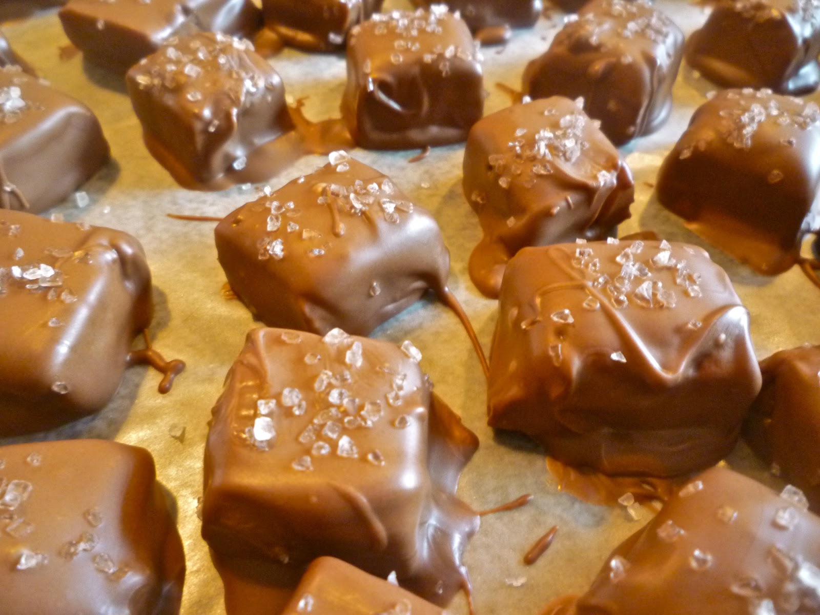 What's Baking in the Homemade Chocolate Covered Sea Salt