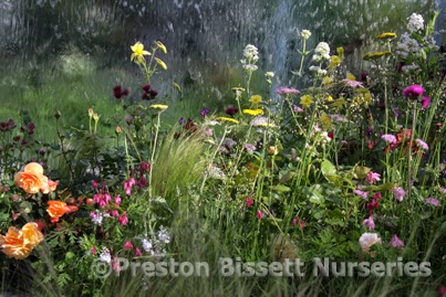 book The Cambridge Companion to Schumann 2007