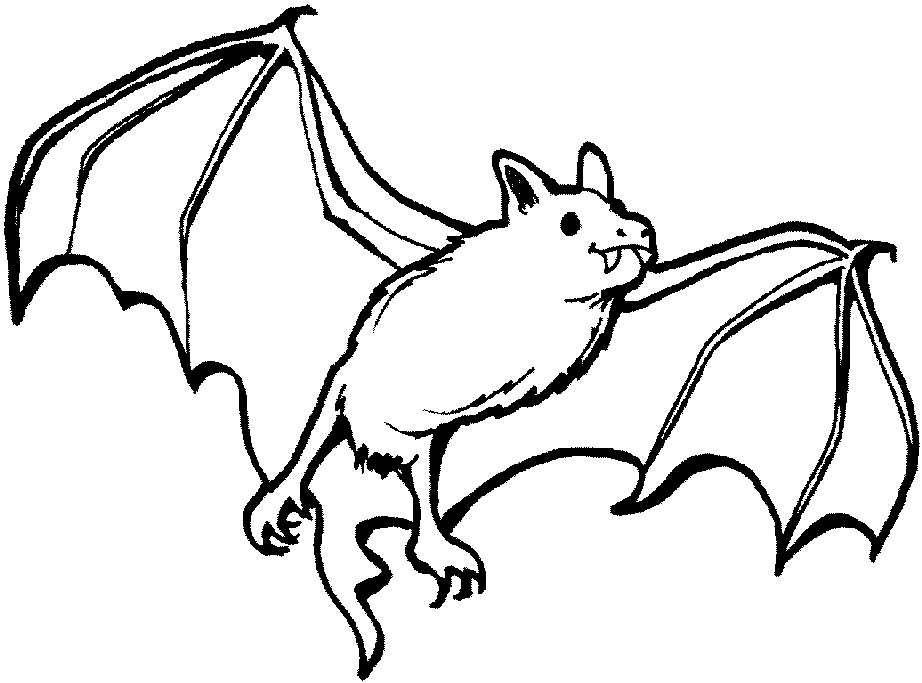 Bats Animal Coloring Pages To Printable | Kids Coloring Pages