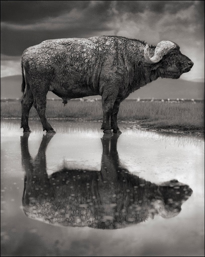 Hamish In Auckland Tanzania " This is the dead land.... Here the