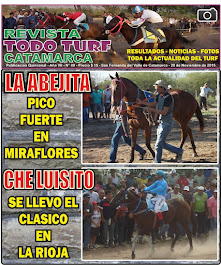 REVISTA Nº 9 - 2015