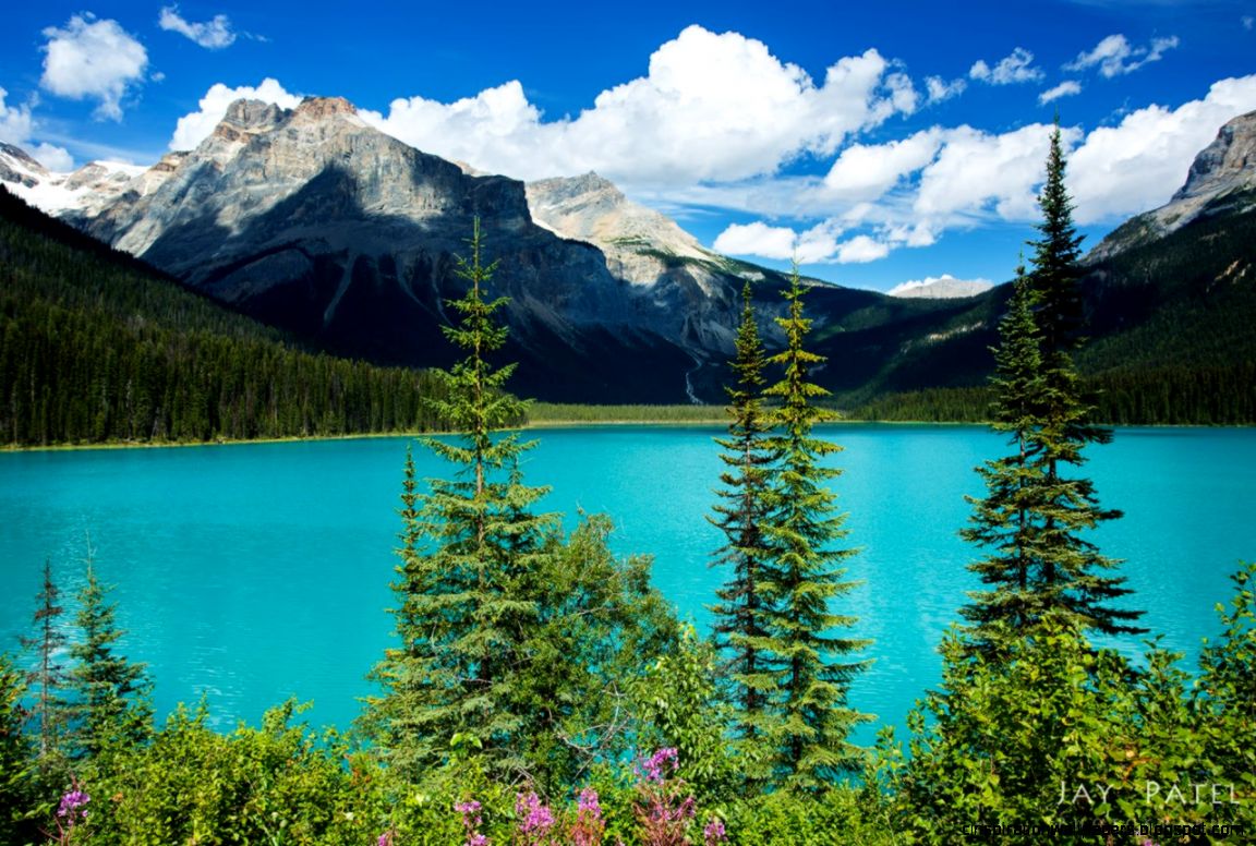 High Res Emerald Lake Wallpapers 602119 Nikolas Pasternak 080715 High Res Emerald Lake Wallpapers 602119 Nikolas Pasternak 080715