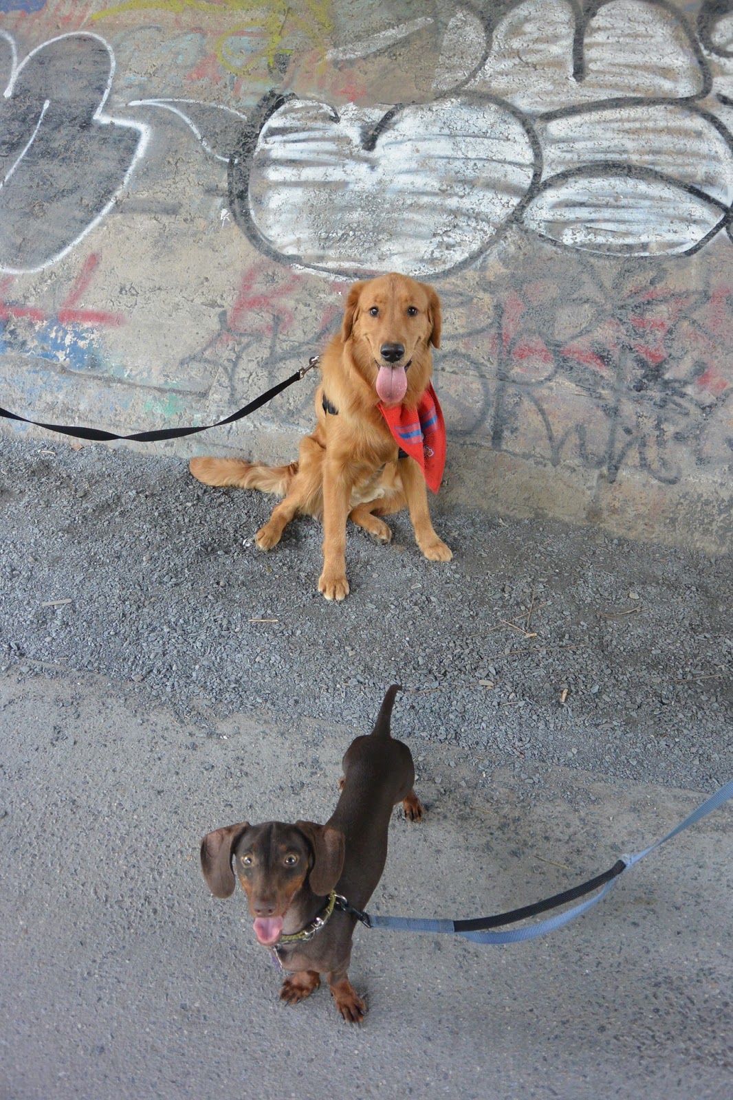 Lightning in a Bottle Atlanta Adventures Krog Street Market