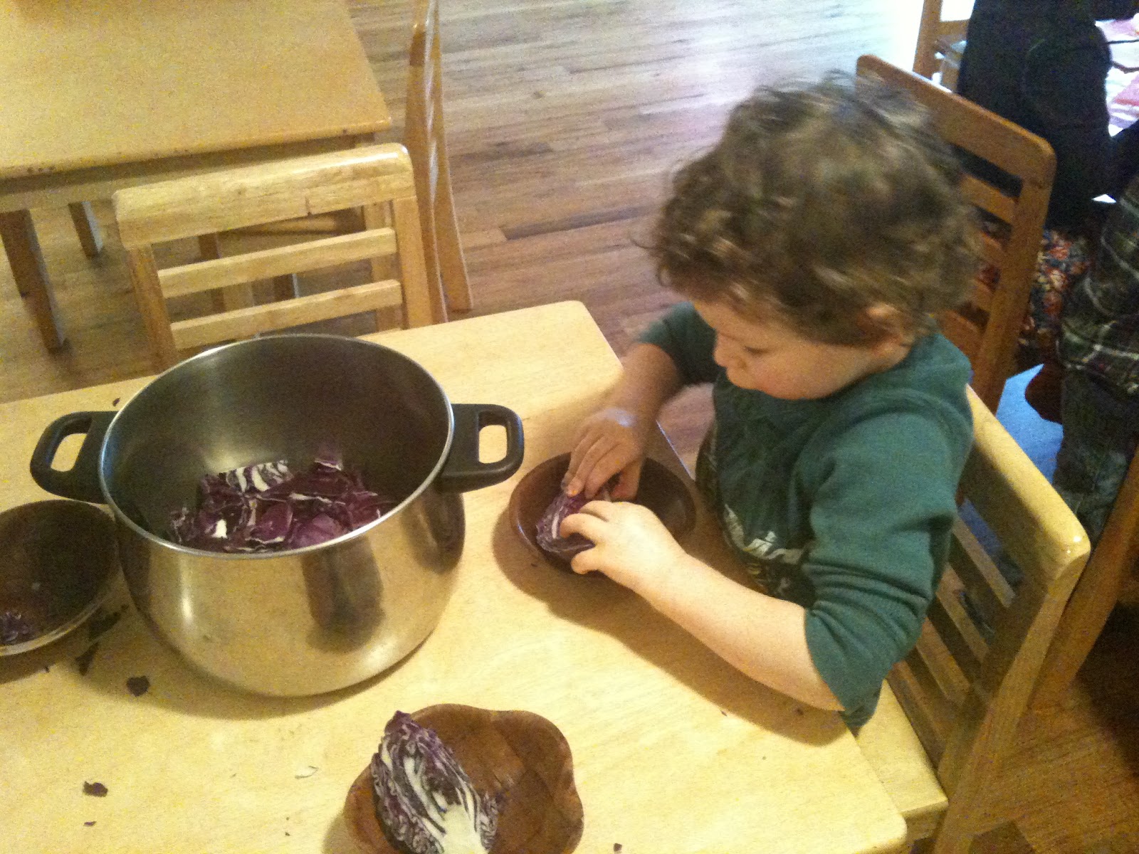 Tumbleweed Infant and Preschool House Red Cabbage Juice An