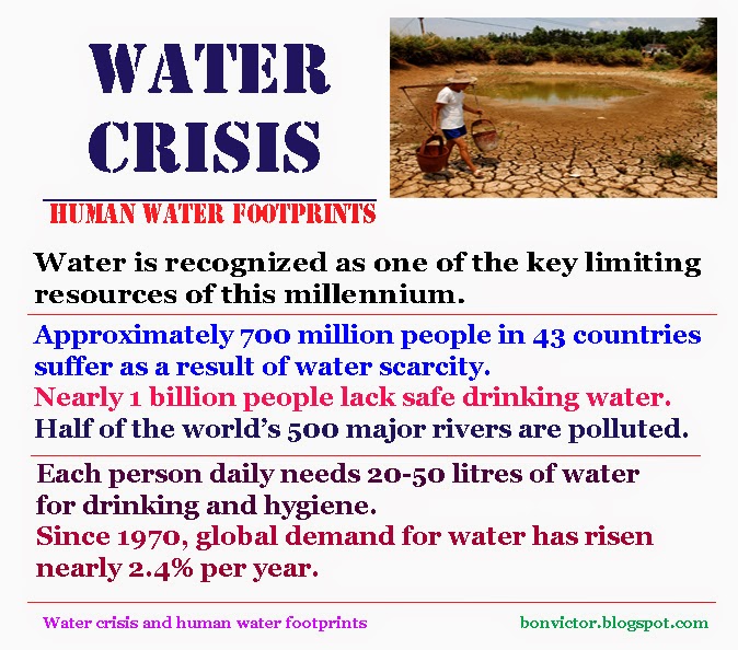 Example of scarcity today picture