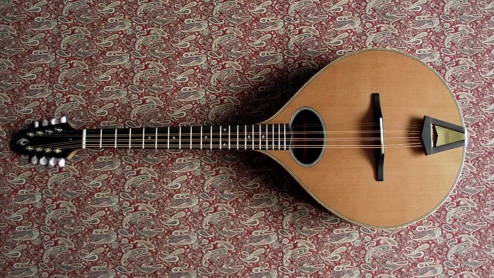 Gary Nava, luthier; Instrument Archive Octave Mandolin