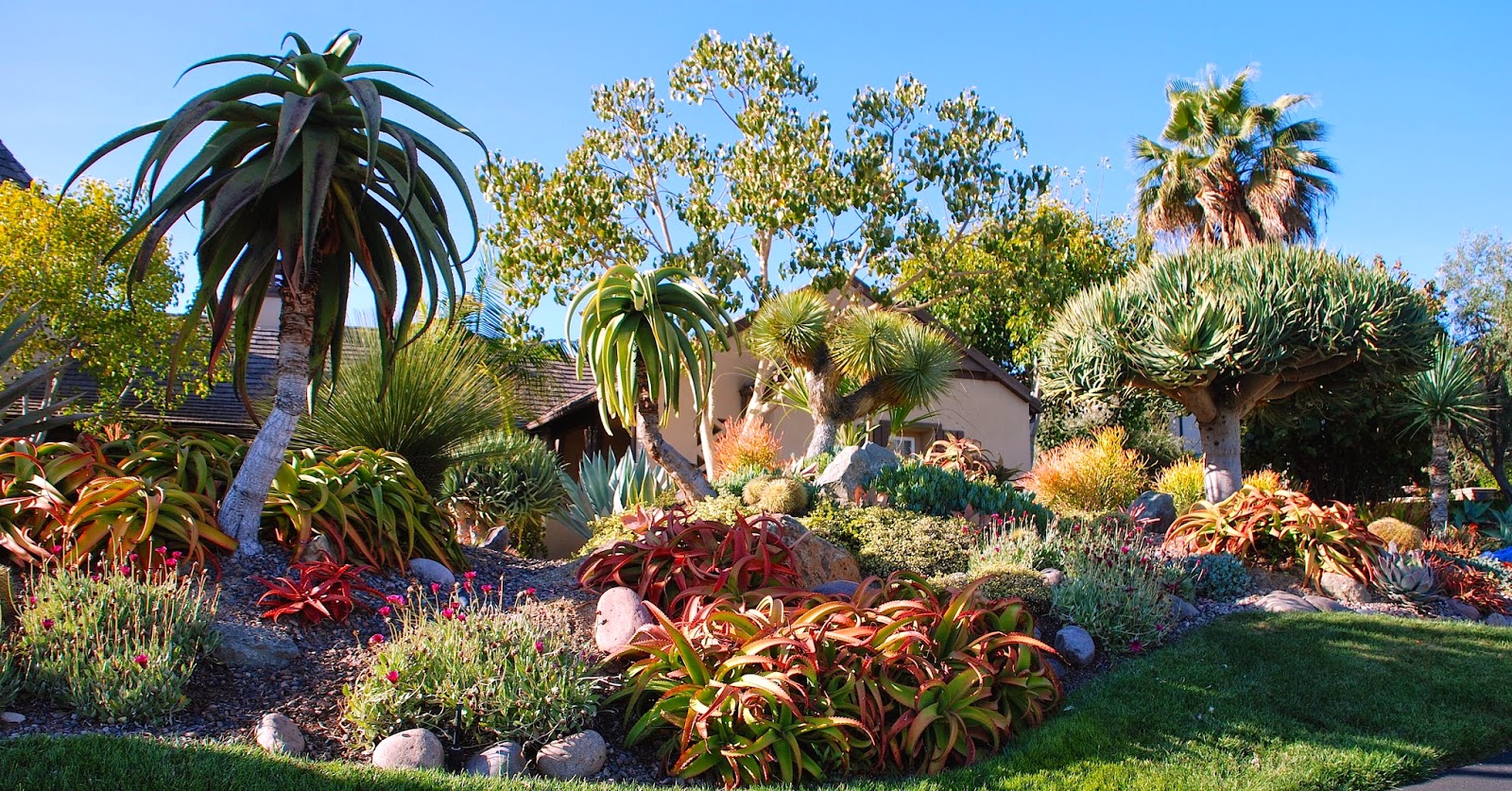 Deeter Buckner Design Llc New Photos Of A Stunning Mature Garden