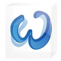 MS word 2010