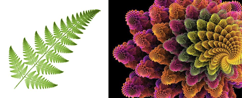 Resultado de imagen de Fractales