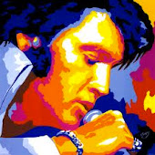 Elvis The Icon