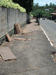 MELHORIAS NO PASSEIO DA IDALINO