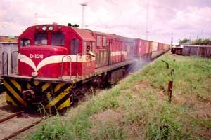 Mozambique Train