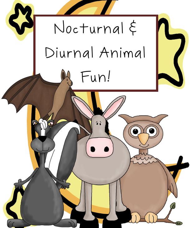 Having Fun in First: Nocturnal & Diurnal Animal Fun!