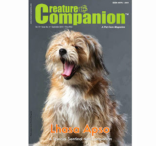 Dog Magazine