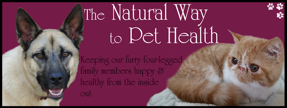 The Natural Way to Pet Health