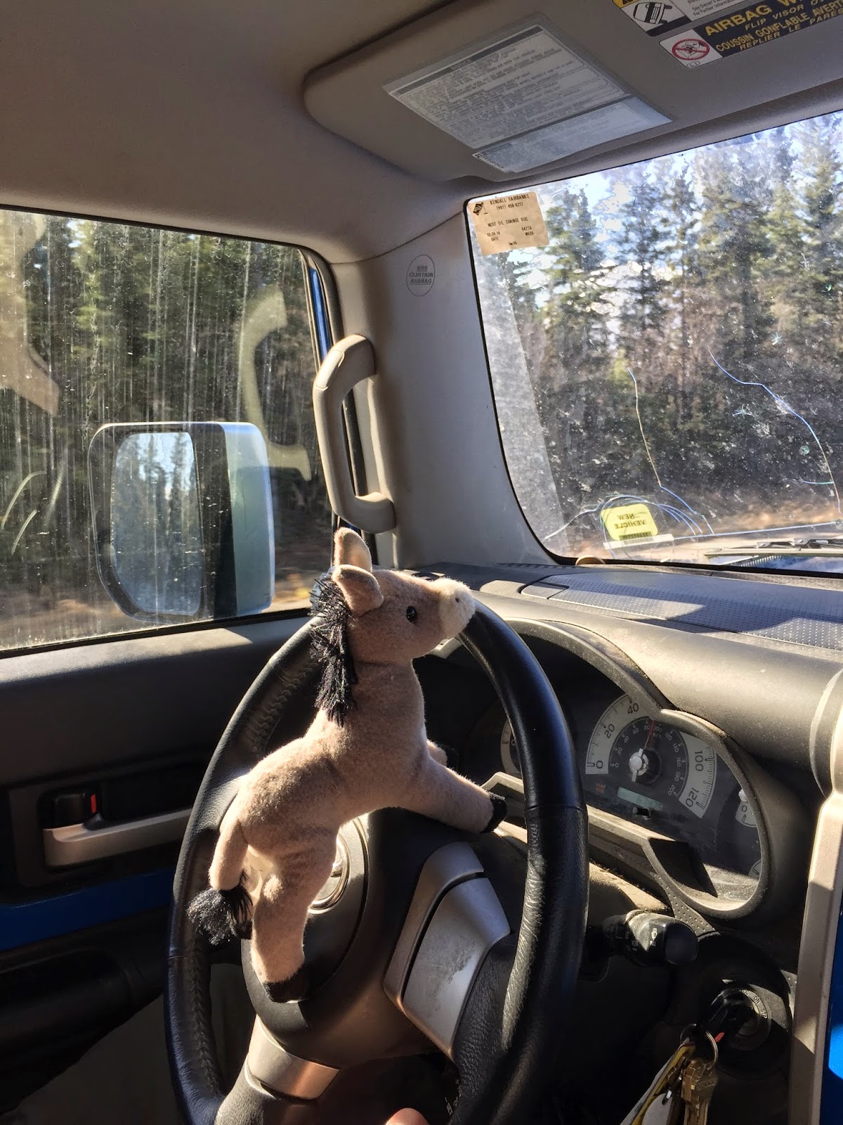 Healy Overlook and McCandless’s Magic Bus Healy, Alaska Two