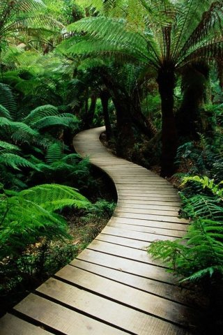 Mobile Phones Wallpaper