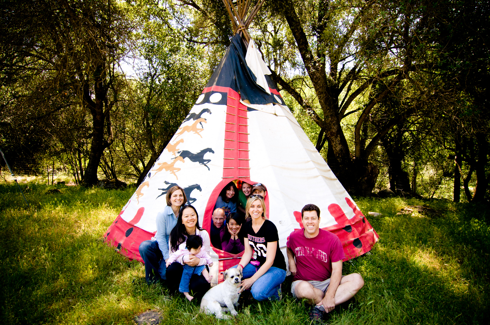 Somehowlost Stacy S Springville Cabin Giant Sequoia National