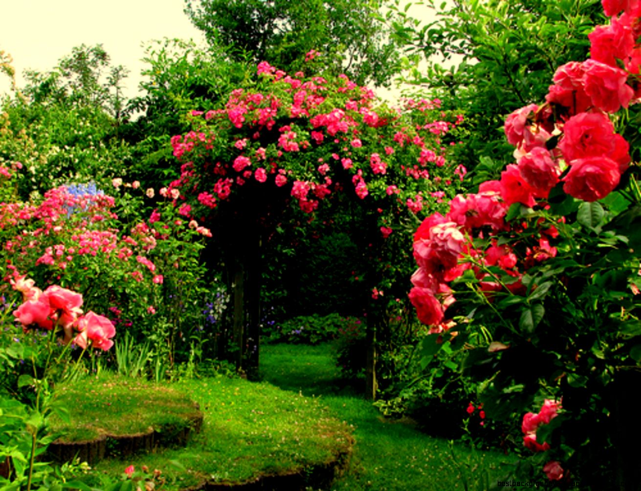 Flower Garden Images Desktop Backgrounds Flower Garden Images Desktop Backgrounds