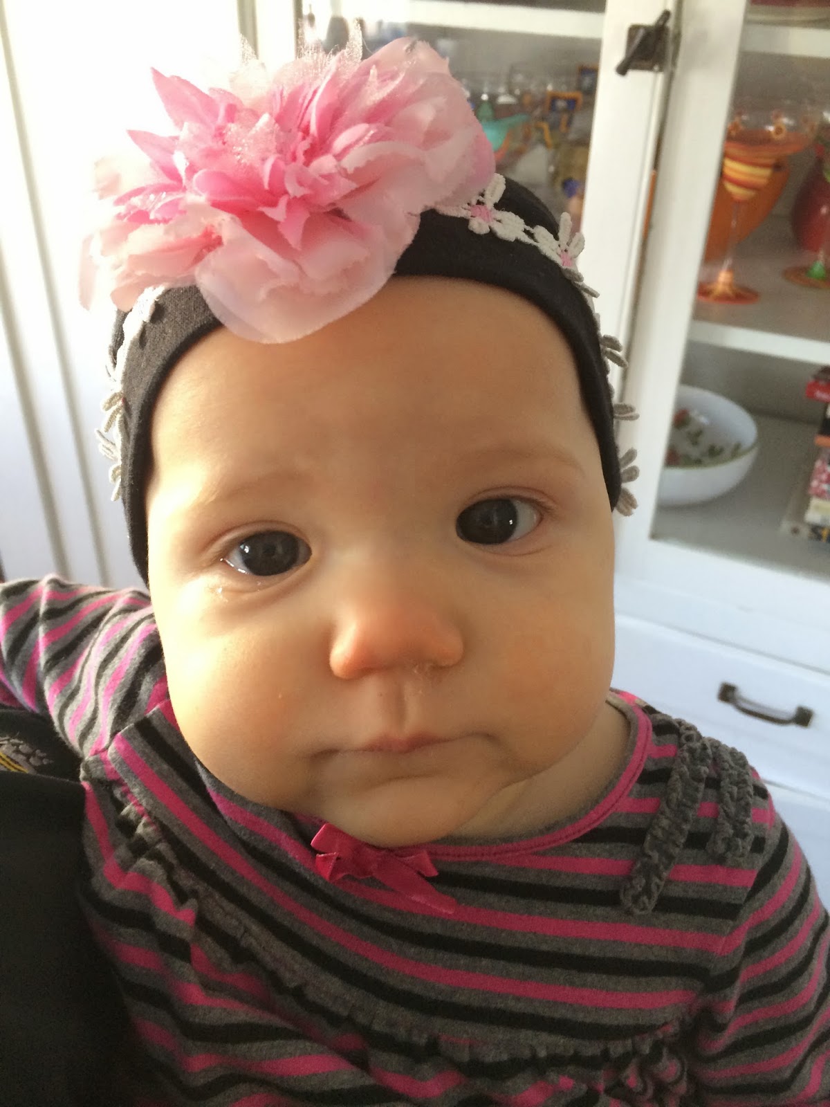 Casa Williams 5 Faves 8 MonthOld Teething Items