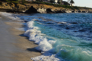 Digital Camera course giveaway on PB&W5