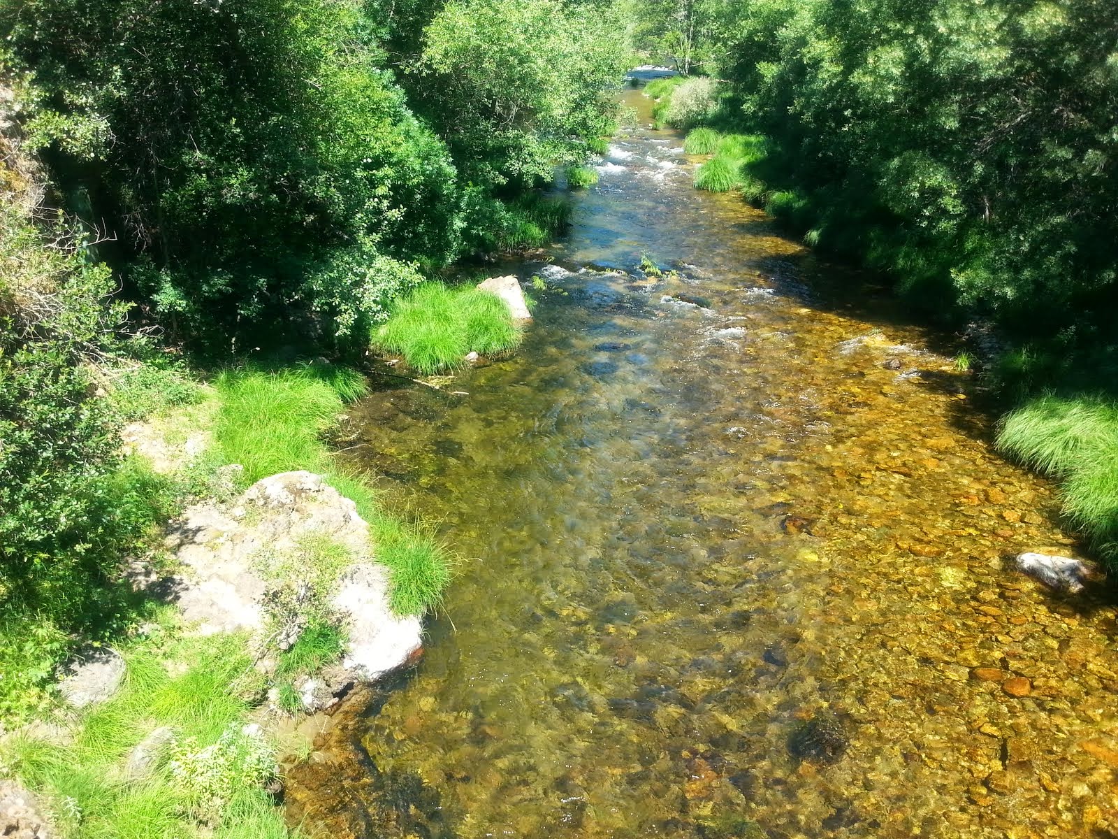 EL RÍO OMAÑA