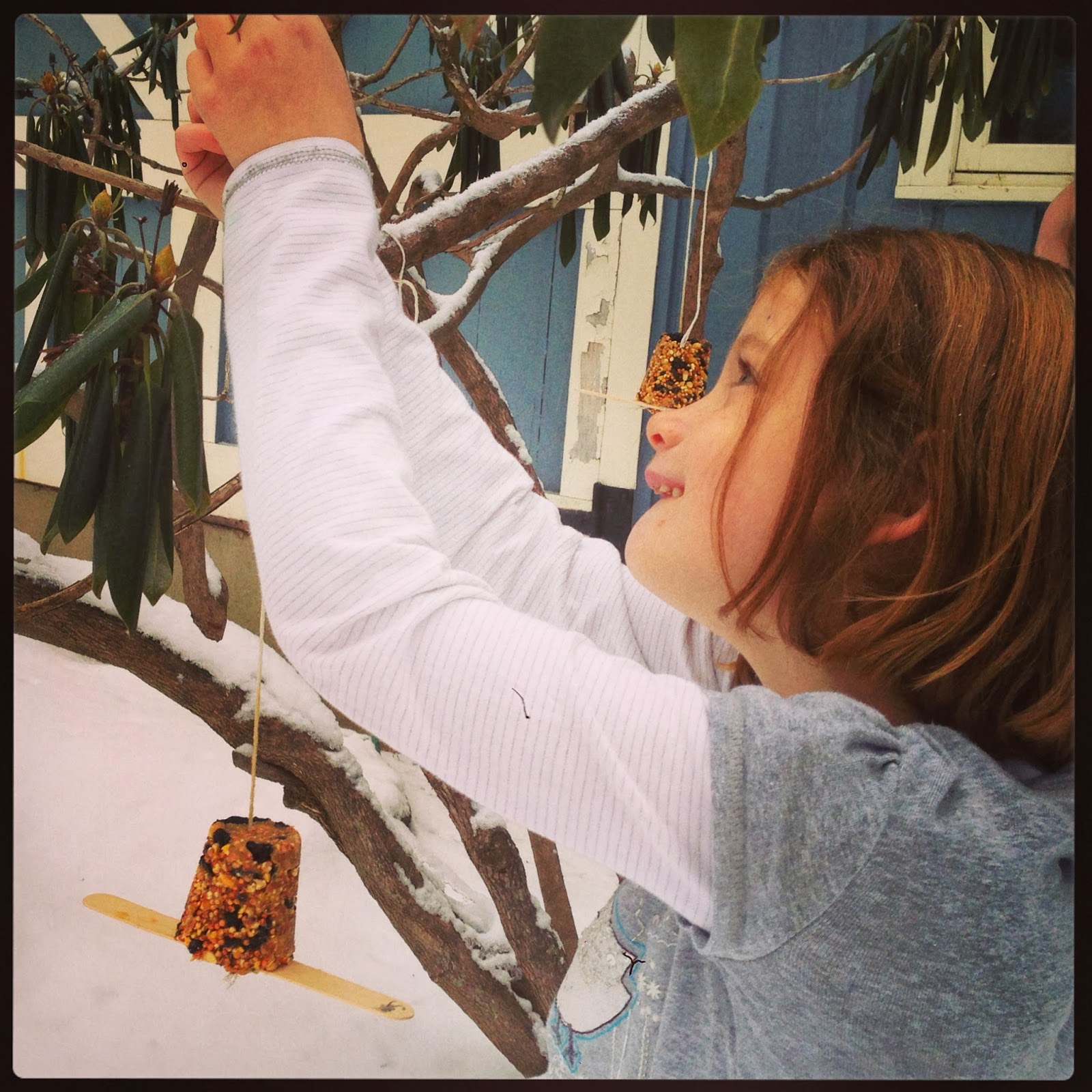 The Blue Barn Yogurt Pot Bird Feeders