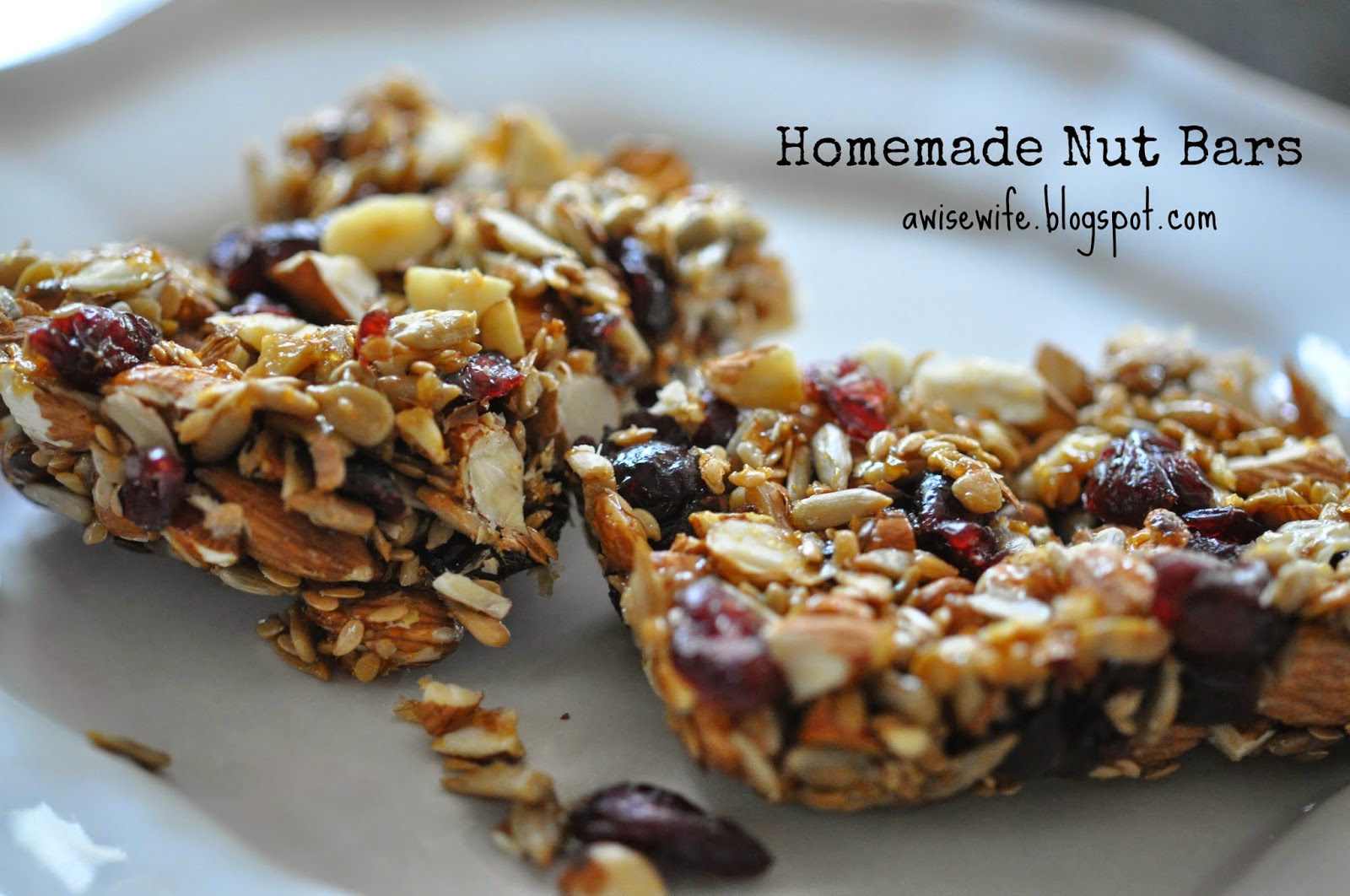 Life of a Wise Wife Homemade Nut Bars