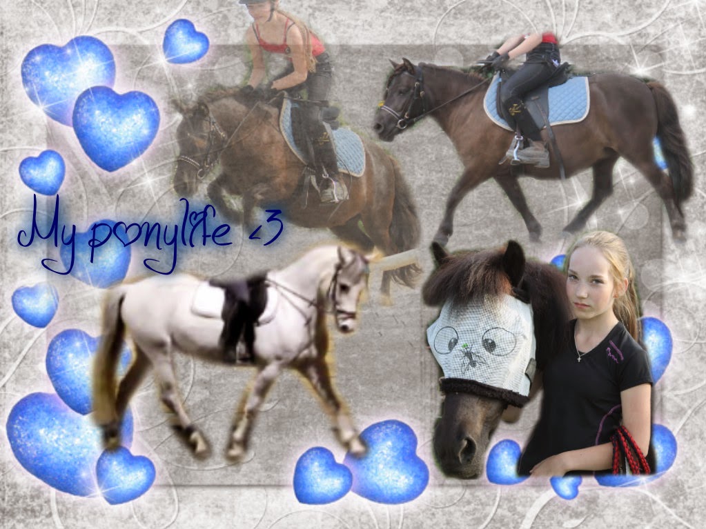 My ponylife 