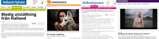Hallandsposten, Vargbilden, media, intervju, reportage