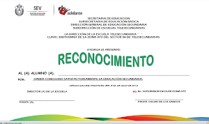 formato de reconocimiento