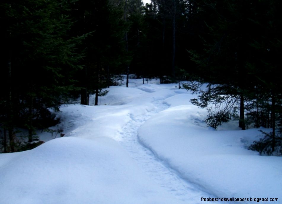 Balsamea Winter daily walking snowshoe paths The Balsamean Balsamea Winter daily walking snowshoe paths The Balsamean