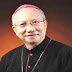 Vatican-Việt Nam: Phỏng vấn Chủ tịch Ủy ban Công lý và Hoà bình