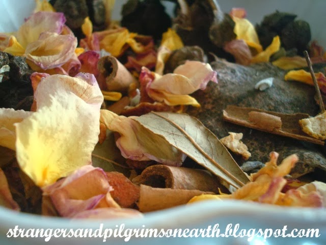 Herbal Stovetop Potpourri for Cleaning House - Kami McBride