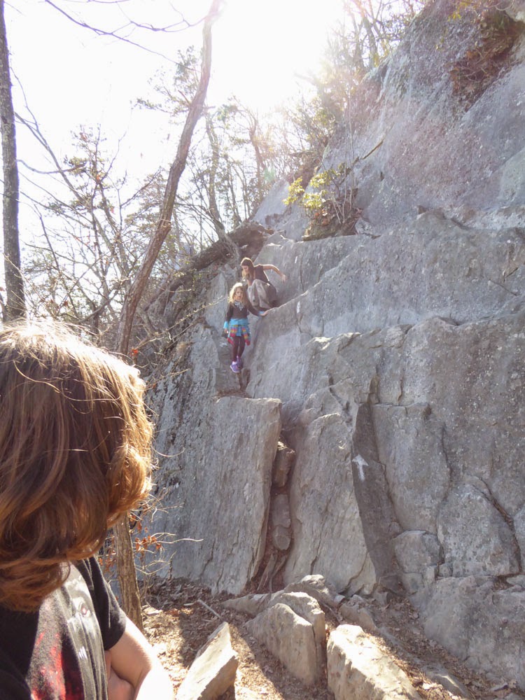 The Enchanted Tree Dragon's tooth Appalachian trail hiking