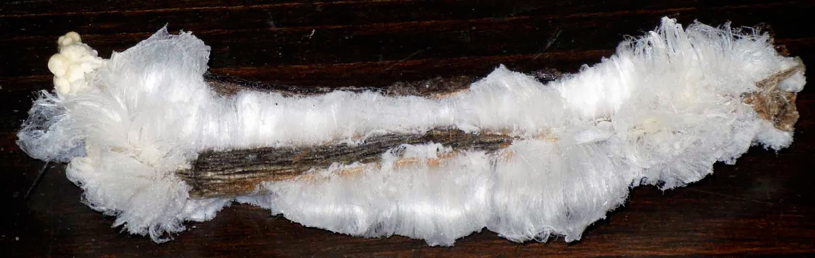 Sci/Why Hair Ice and Singing Lakes and Icebergs Fabulous Ice Phenomena