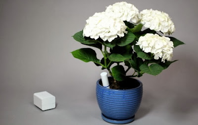 Coolest Smartphone Controlled Garden Gadgets (15) 2