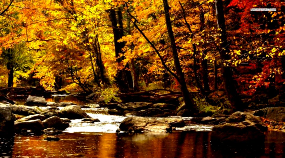 Gorgeous Autumn River New HD Wallpapers Gorgeous Autumn River New HD Wallpapers